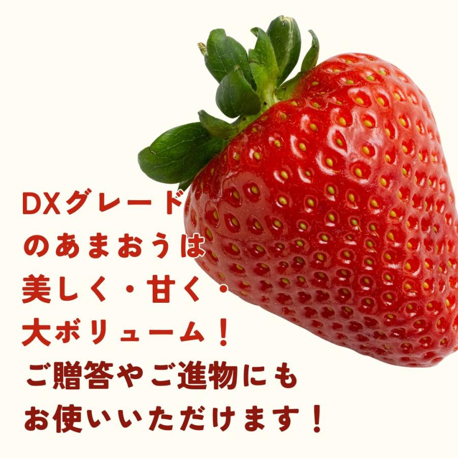 福岡産 博多 ”あまおういちご” 等級DX（デラックス） 5箱 10パック入り（1パック約270g） 大粒 苺 strawberry |  | 06