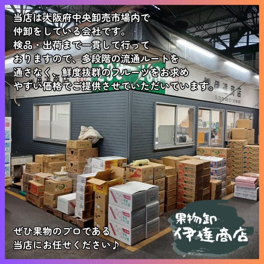 ”広島産 不知火・しらぬい（デコポン）” 約10kg 訳あり 大きさおまかせ 濃厚 甘い ギフト 国産 フルーツ 果物 JA 季節限定 柑橘 みかん 母の日 プレゼント |  | 01