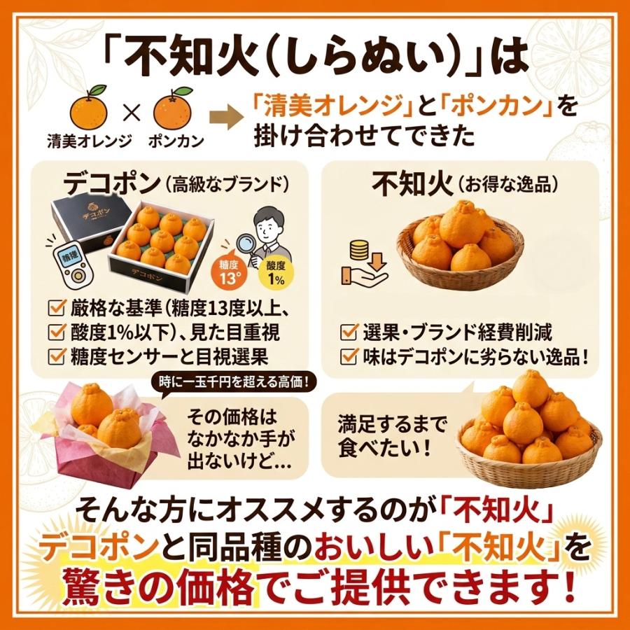 ”広島産 不知火・しらぬい（デコポン）” 約10kg 訳あり 大きさおまかせ 濃厚 甘い ギフト 国産 フルーツ 果物 JA 季節限定 柑橘 みかん 母の日 プレゼント |  | 02