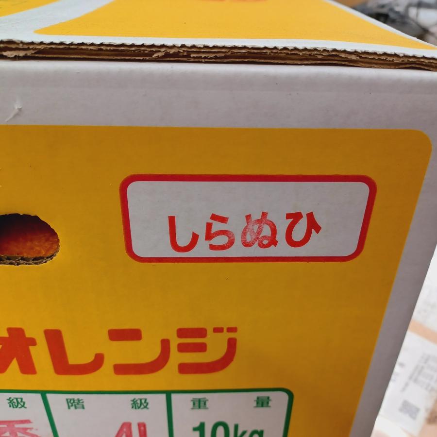 ”広島産 不知火・しらぬい（デコポン）” 約10kg 訳あり 大きさおまかせ 濃厚 甘い ギフト 国産 フルーツ 果物 JA 季節限定 柑橘 みかん 母の日 プレゼント |  | 06