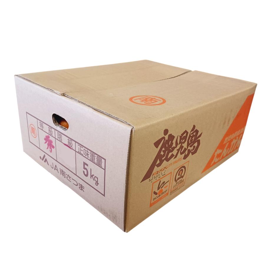 鹿児島産 ”たんかん” M-Lサイズのいずれか1サイズをお届け 約5kg JA南さつま　濃厚 甘い 香り ギフト 国産 フルーツ 果物 果実 ご当地 季節限定 柑橘 みかん |  | 07