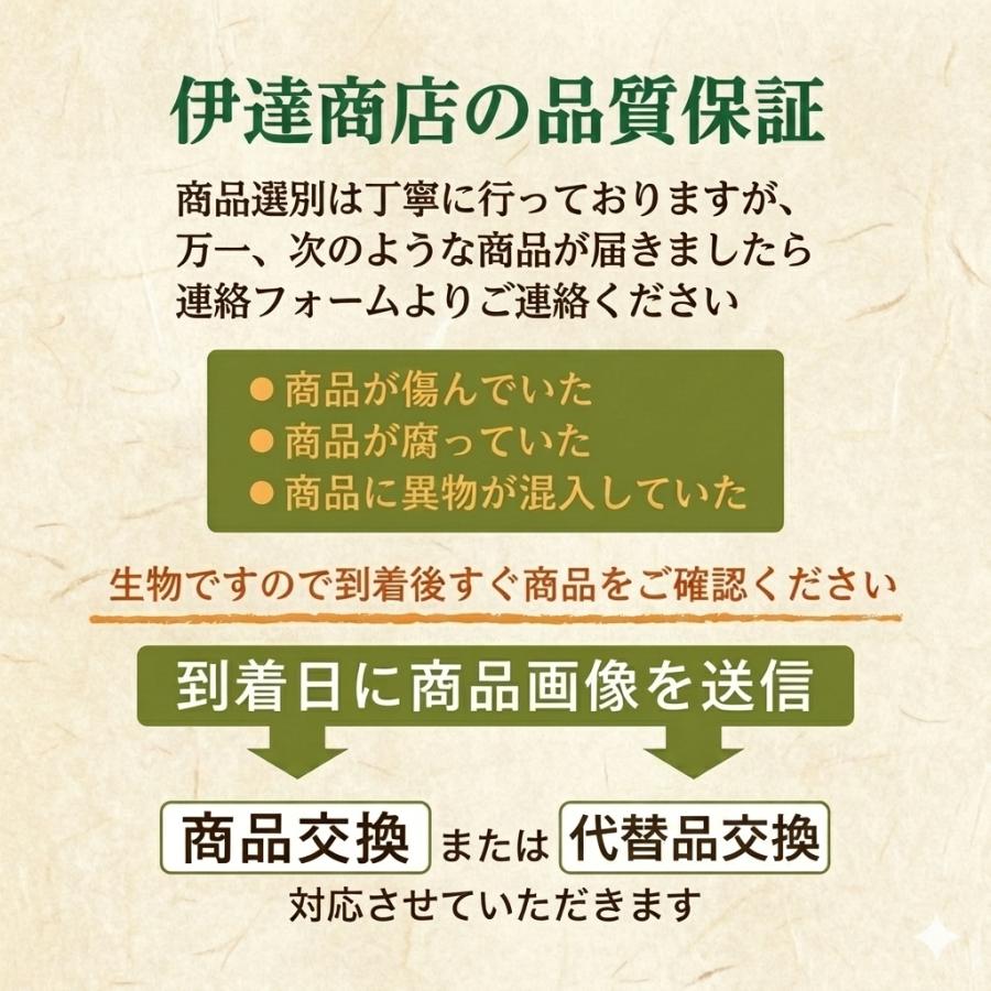 鹿児島産 ”たんかん” M-Lサイズのいずれか1サイズをお届け 約5kg JA南さつま　濃厚 甘い 香り ギフト 国産 フルーツ 果物 果実 ご当地 季節限定 柑橘 みかん |  | 08