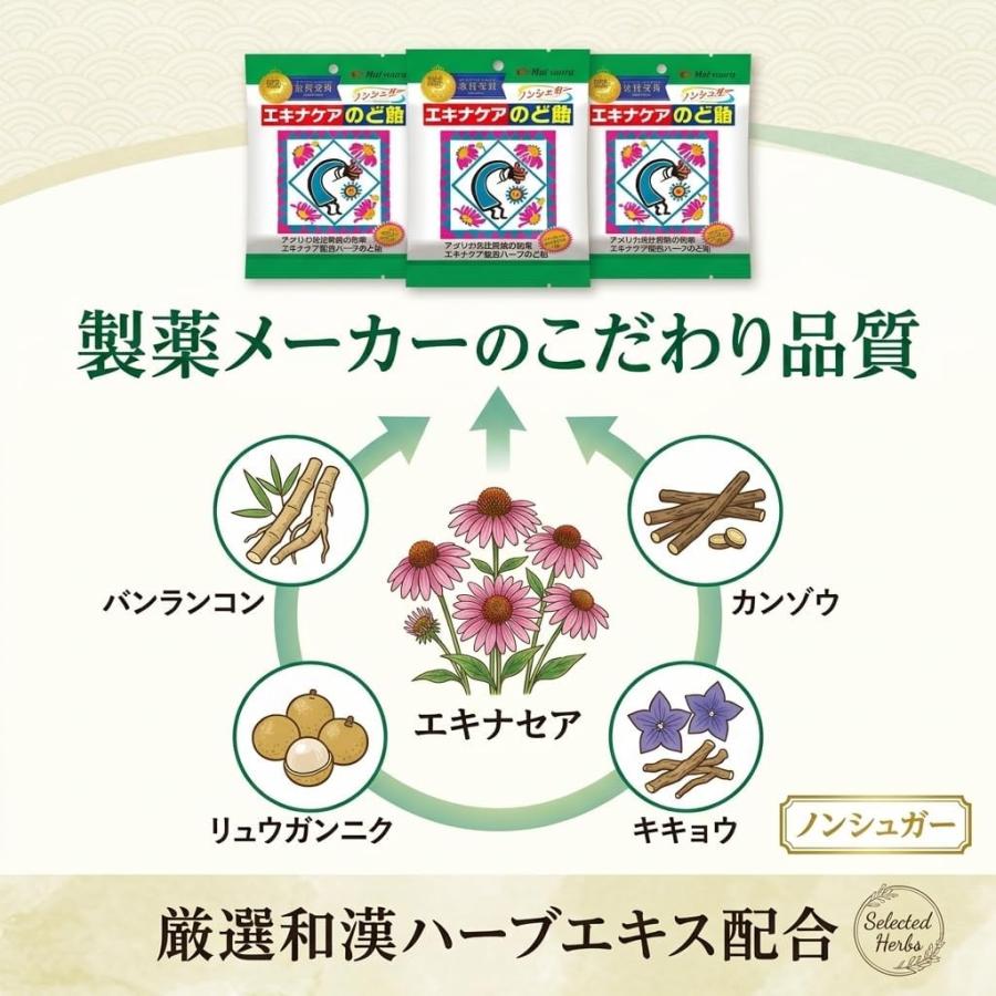 エキナケアのど飴 15粒入 3袋セット 松浦薬業 送料無料 ノンシュガー