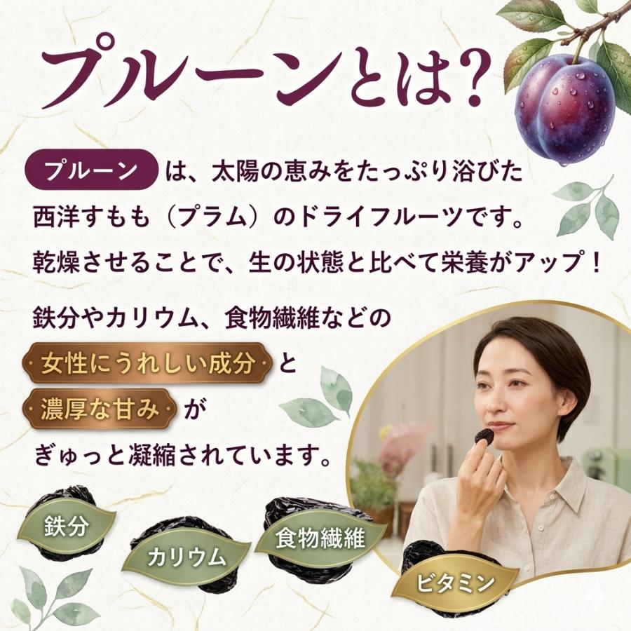 プルーン習慣 ソフト 120g / ハード 130g 無加水 硬め 軟めドライ