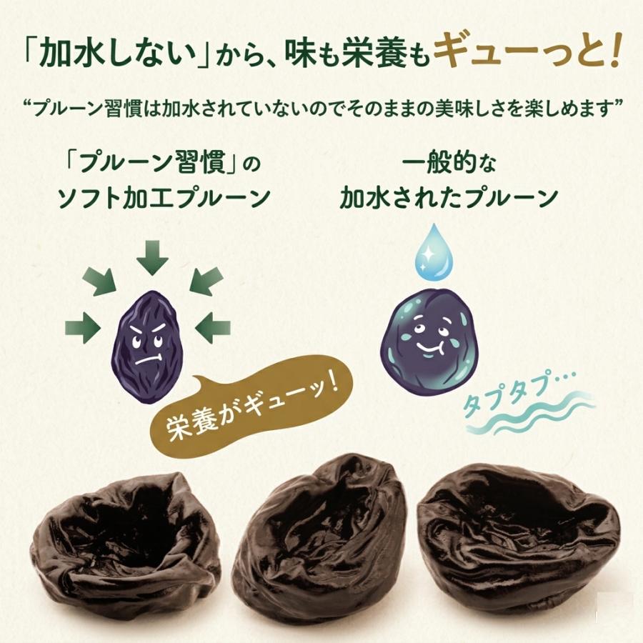 プルーン習慣 ソフト 120g / ハード 130g 無加水 硬め 軟めドライ