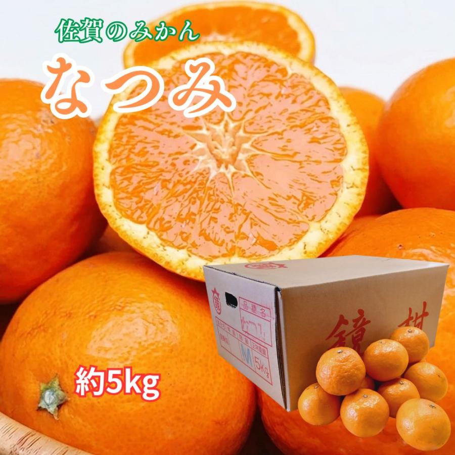 マンダリンオレンジさん専用9,000円 佐賀産 南津海みかん（なつみみかん） 大きさお任せ 約5kg 鏡柑