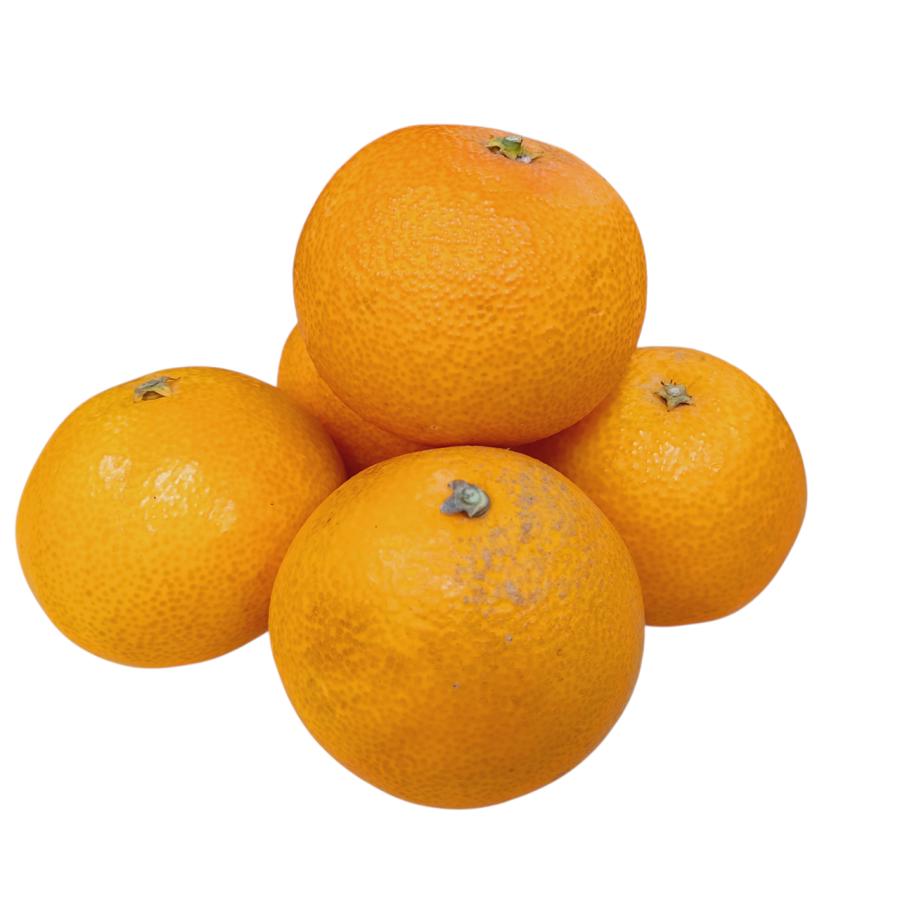 愛媛産 紅まどんなと同じ品種 あいか” 訳あり 大きさおまかせ ご家庭用