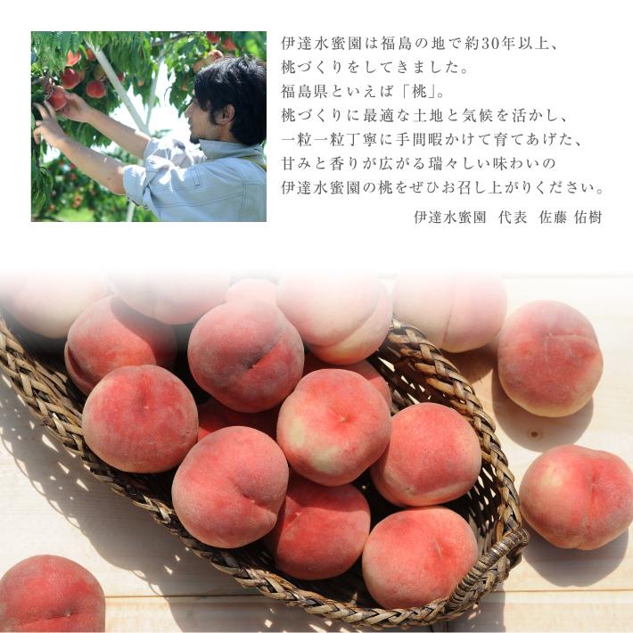 おひとり様2箱まで！】産地直送 訳あり桃 5kg 福島県産 冷蔵便 送料  