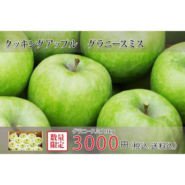 送料 税込み価格 国産グラニースミス りんご 3kg Rinngo02 伊達水蜜園 通販 Yahoo ショッピング