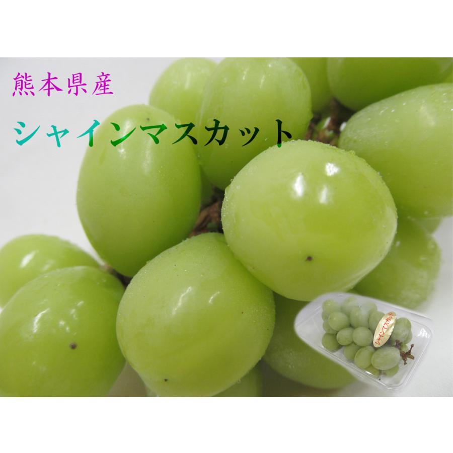 熊本産 シャインマスカット 1箱 4パック（300g前後×4） 送料無料 