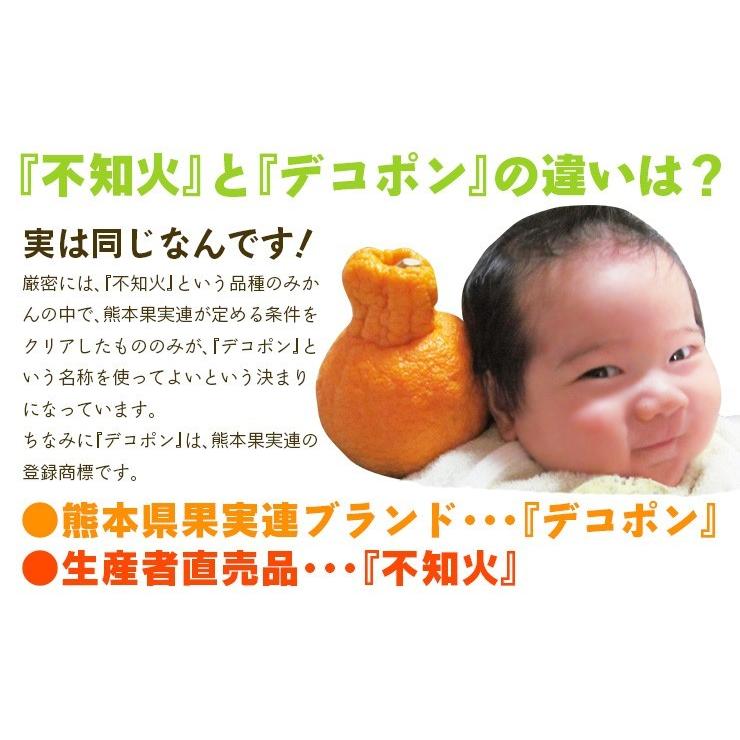 不知火( デコポン と同品種 ) 熊本産 訳あり ご家庭用 20kg 不知火( デコポン と同品種 ) 熊本産 訳あり ご家庭用 20kg