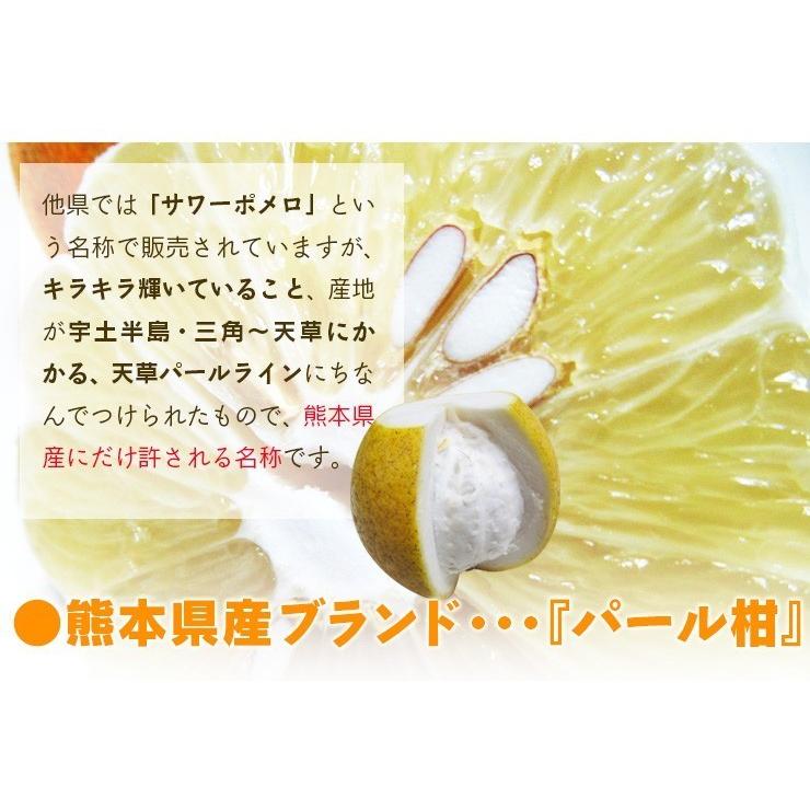 パール柑 熊本産 訳あり 15kg 送料無料 九州 熊本 パール 文旦 パール柑 熊本産 訳あり 15kg 送料無料 九州 熊本 パール 文旦