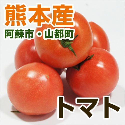 熊本県産 トマト 1パック 野菜セット と同梱で送料無料 とまと 実野菜 九州 熊本 Mi 02 脱八百屋宣言 通販 Yahoo ショッピング