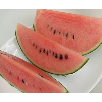 熊本産 小玉スイカ ひとりじめ 1箱 3kg前後 2 3玉入り 送料無料 九州 熊本 小玉 こだま すいか 品種 黒 甘い ギフト 母の日 父の日 お中元 Wm 04 3k 脱八百屋宣言 通販 Yahoo ショッピング