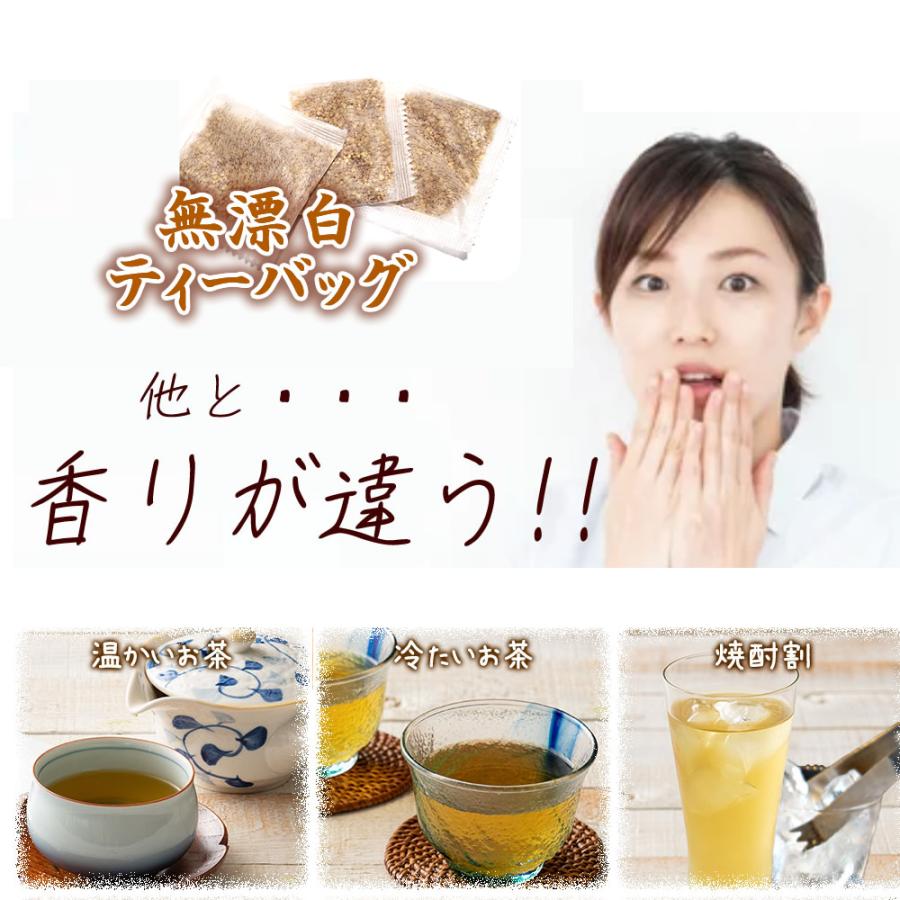 韃靼そば茶 国産 ティーバッグ 100包 北海道産 農薬不使用 長命庵 ノン