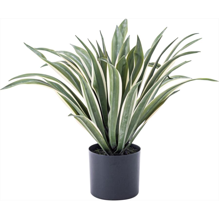 フェイクグリーン アガベ GRN-13 送料無料