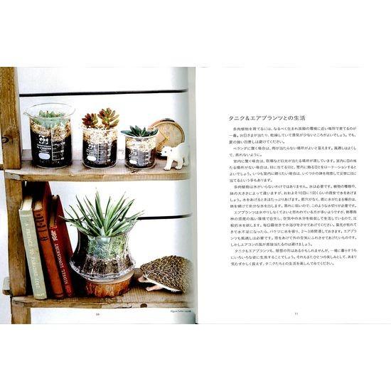 50 Off フィギュアを添えて楽しむ 多肉植物のかわいいミニチュアガーデン 01 015 いいものあるあるday Book 通販 Yahoo ショッピング