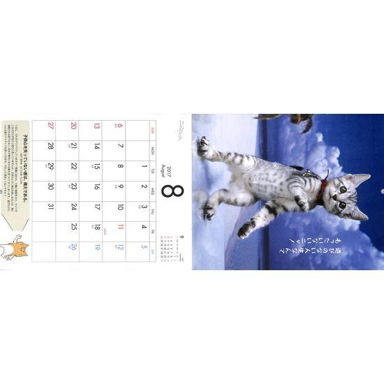 50 Off ニャンころりん カレンダー カレンダー 16年11月 18年3月 02 102 いいものあるあるday Book 通販 Yahoo ショッピング