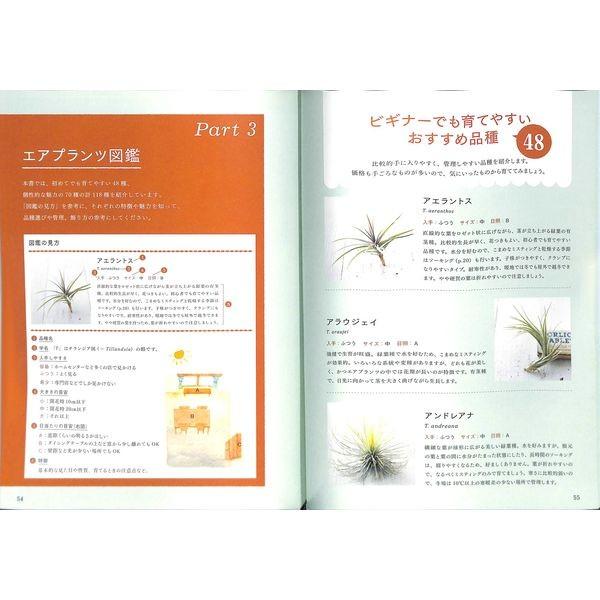 50 Off はじめてのエアプランツ 育て方 飾り方 02 272 0374 いいものあるあるday Book 通販 Yahoo ショッピング