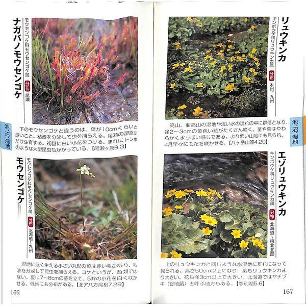 50 Off 持って歩きたい 高山の花図鑑 02 279 0454 いいものあるあるday Book 通販 Yahoo ショッピング