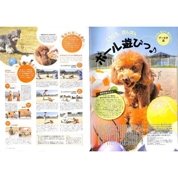 50 Off プードルスタイルvol 16 02 284 0529 いいものあるあるday Book 通販 Yahoo ショッピング