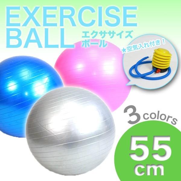 ブルブル振動マシン インナー＆アウターマッスルトレーニング フィットネス エクササイズ 有酸素運動 筋トレ 振動マシン CFM-T10