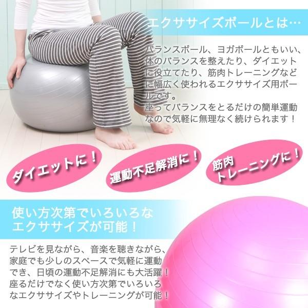 ブルブル振動マシン インナー＆アウターマッスルトレーニング フィットネス エクササイズ 有酸素運動 筋トレ 振動マシン CFM-T10 有酸素運動 筋トレ