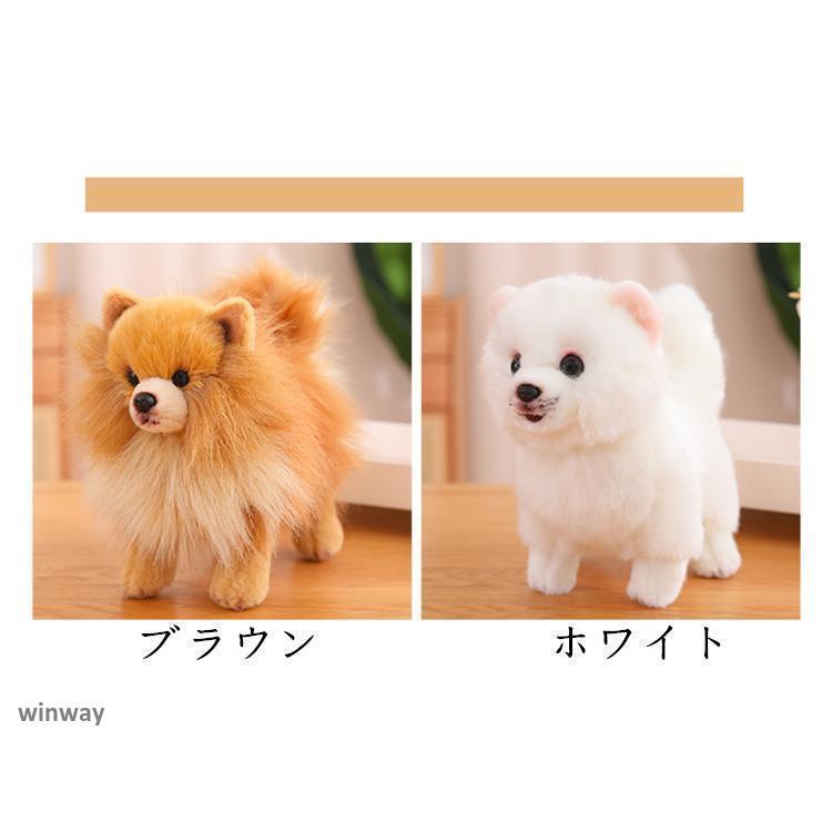 ポメラニアン リアル　ぬいぐるみ　等身大サイズ Amazon.co.jp: ポメラニアンぬいぐるみ 犬 大きい 本物そっくり