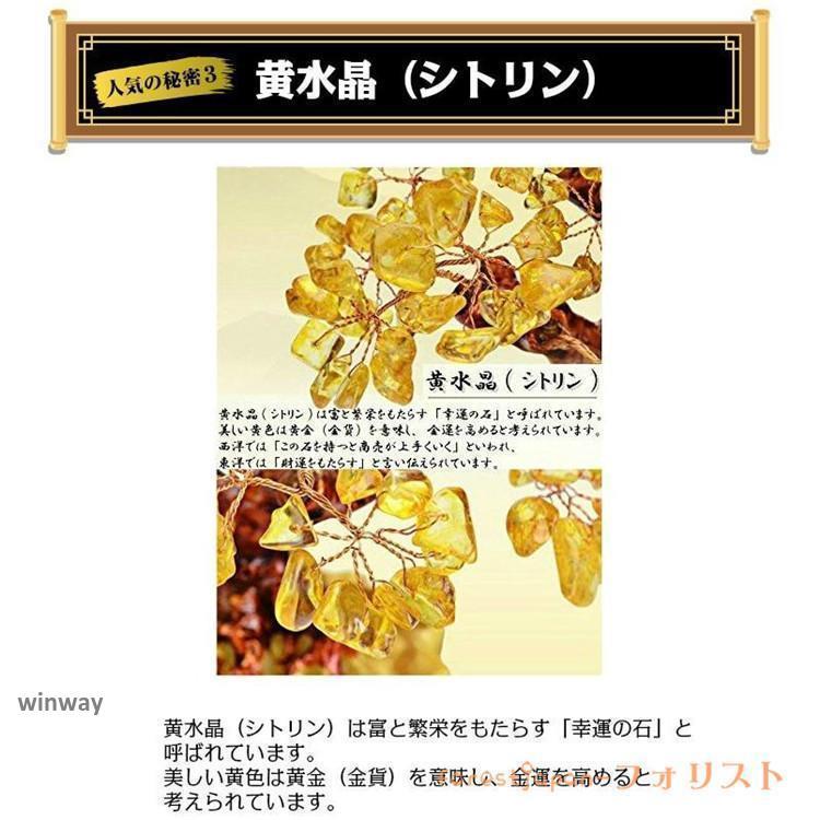 金のなる木招財樹置物黄水晶 龍 竜 ドラゴン シトリン財運 健康 仕事 動物 金運風水トイレ 外 玄関 リビング 寝室｜dayday-shopping｜03