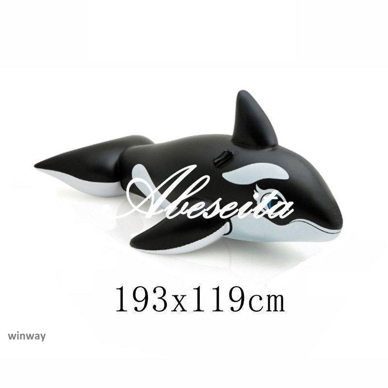 【オーダー用】夏ビーチ① カッティングダイ 海水浴 シャチ 浮き輪 イルカ オーダー用】夏ビーチ① カッティングダイ 海水浴 シャチ 浮き輪