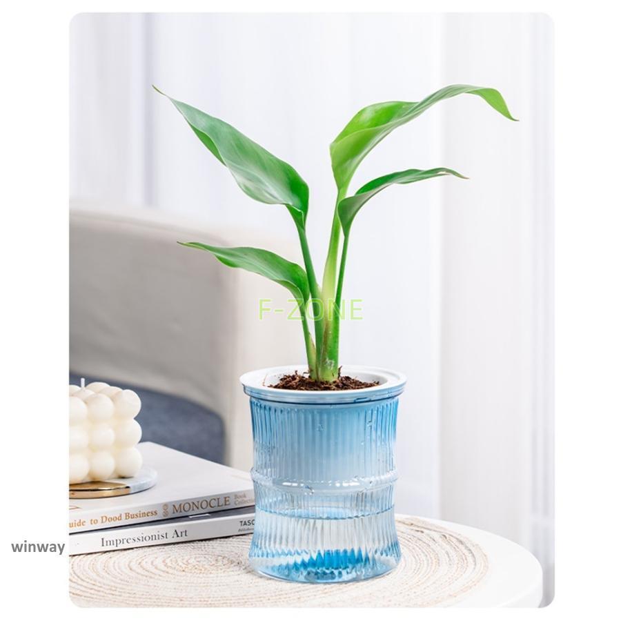 植木鉢 フラワーポット 多肉植物ポット プランター 自動吸水 植木鉢 フラワーポット 多肉植物ポット プランター 自動吸水