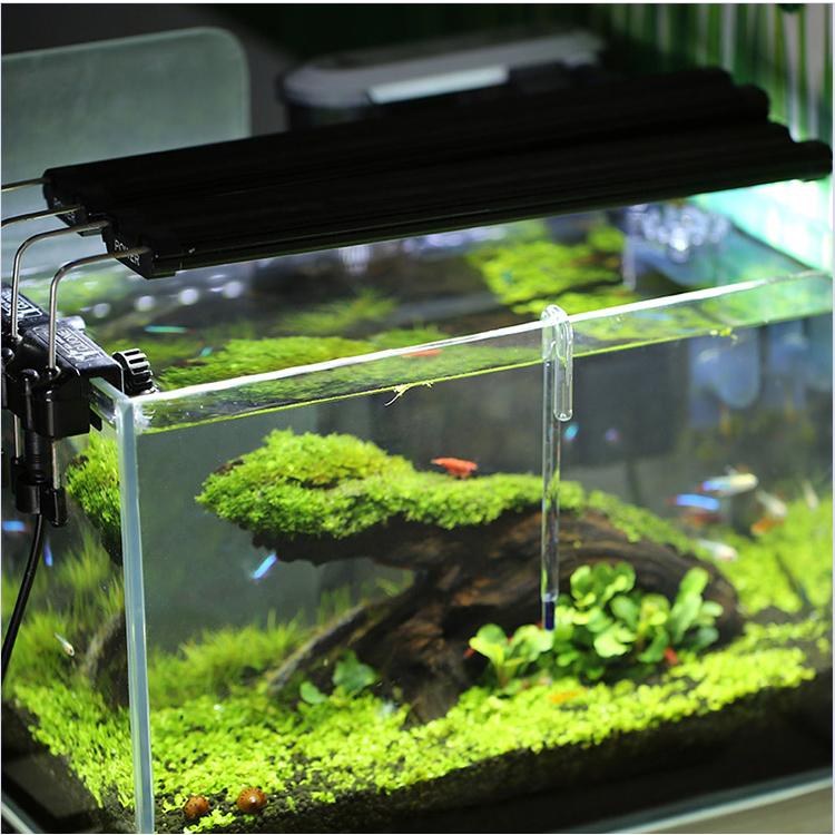 U字型 温度計 水温計 5mm 6mm 8mm 12mm 水槽 水草 クリア ホワイト 透明 送料無料 8001 Daydayup 通販 Yahoo ショッピング