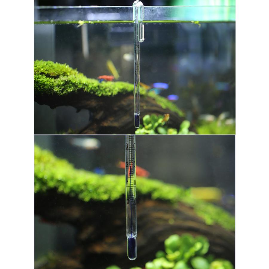 U字型 温度計 水温計 5mm 6mm 8mm 12mm 水槽 水草 クリア ホワイト 透明 送料無料 8001 Daydayup 通販 Yahoo ショッピング