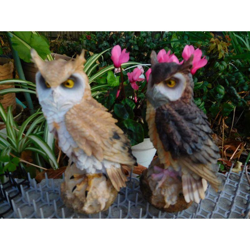 丸喜明商店リアル ガーデン オブジェ フクロウ フクロウ ブラック Daydream Tokyo 通販 Yahoo ショッピング