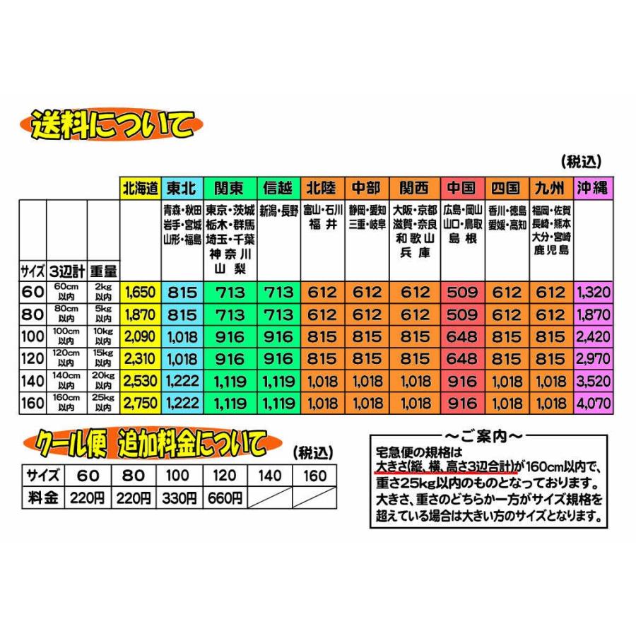 酔心山根本店 酔心特別本醸造 本日の目玉 ブナのしずく青ラベル1 8l