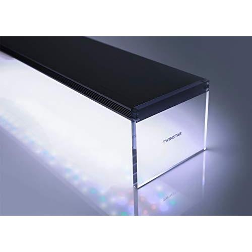 カミハタ ツインスター E-LINE クリアスタンド 600EC 