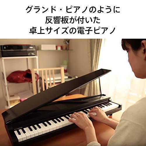 KORG MICROPIANO マイクロピアノ ミニ鍵盤61鍵 レッド 61曲のデモソング内蔵 自動演奏可能｜days-of-magic｜02