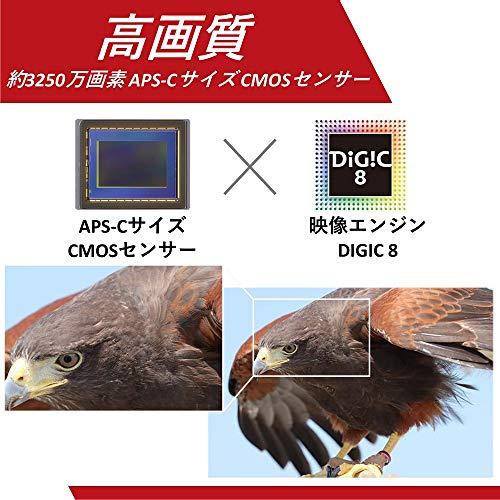 Canon デジタル一眼レフカメラ EOS 90D ボディー EOS90D｜days-of-magic｜04