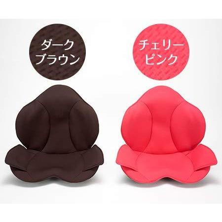 芦屋美整体 骨盤スリムスタイリーエアー (ダークブラウン) 芦屋美整体