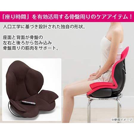 芦屋美整体 骨盤スリムスタイリーエアー (ダークブラウン) 芦屋美整体