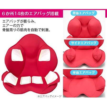芦屋美整体 骨盤スリムスタイリーエアー (ダークブラウン) 芦屋美整体