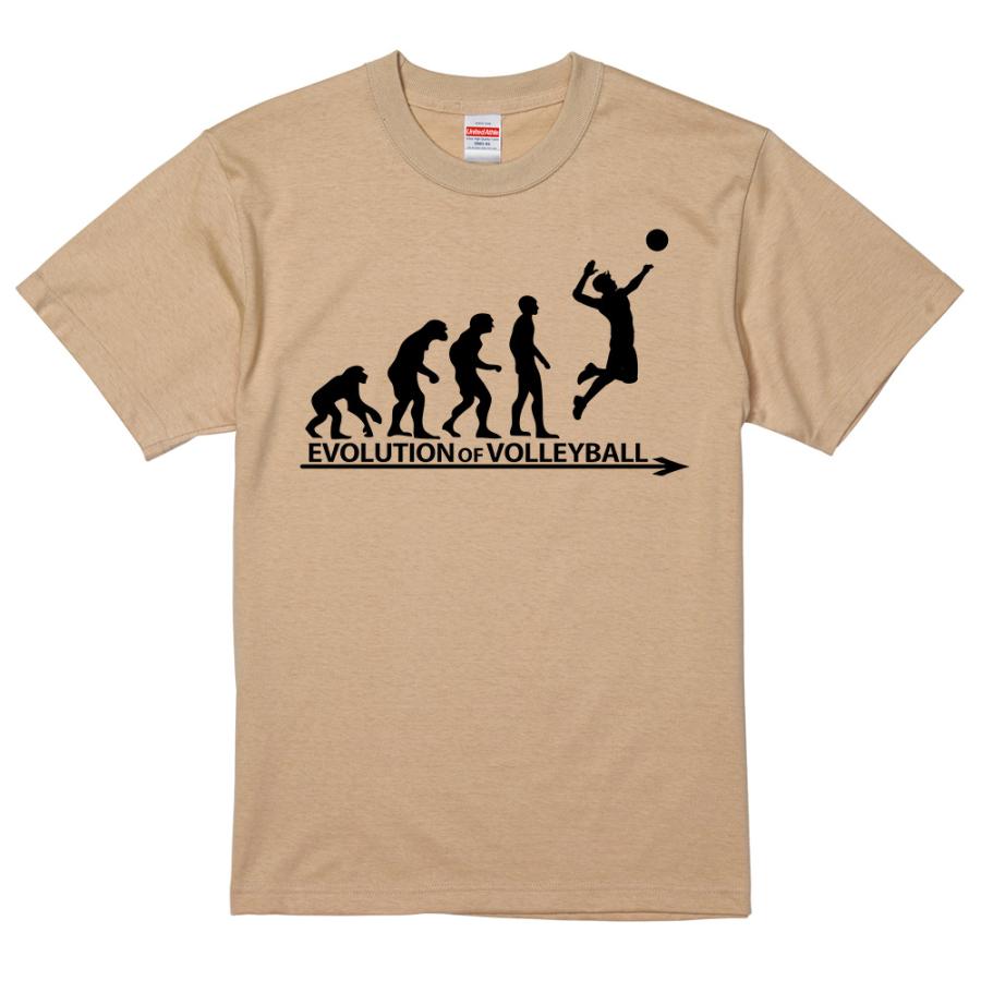 進化 EVOLUTION Tシャツ バレーボール 排球 男子バレー ( 白 ライト