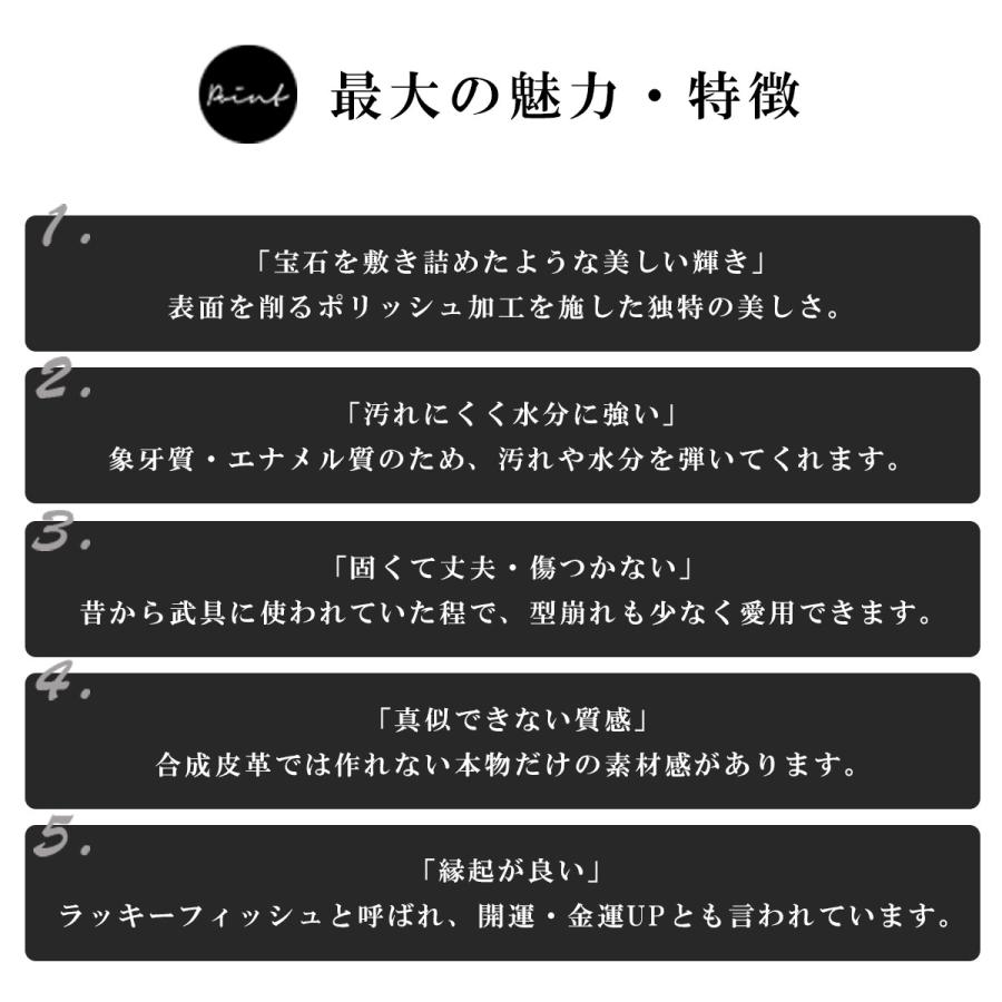 ショルダーバッグ レザーバッグ ウォレットバッグ メンズ エイ革 本革 スティングレー 財布機能付き フラット加工 ブラックの画像