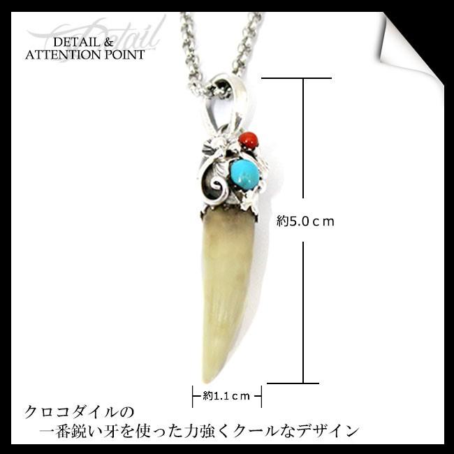 特大！ワニの牙★歯 即納☆特大！ワニの牙☆歯 - 頭骨・骨格標本・剥製販売 【Core-Box】