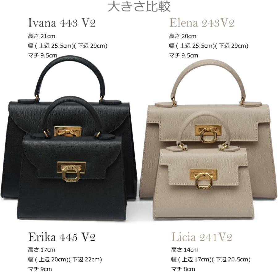 CARBOTTI カルボッティERIKA 445V2 2wayバッグ ハンドバッグ CARBOTTI カルボッティERIKA 445V2 2wayバッグ ハンドバッグ
