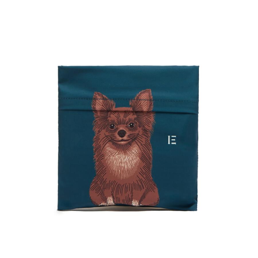 INOUI TOOSH（イヌイトゥーシュ） INOUI EDITIONS イヌイ