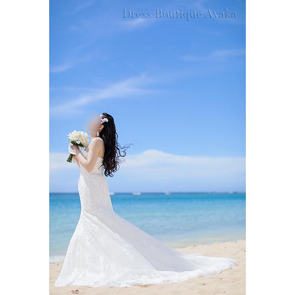 TAKAMI BRIDAL 10号 ワンオーナー クリーニング済 |  | 13