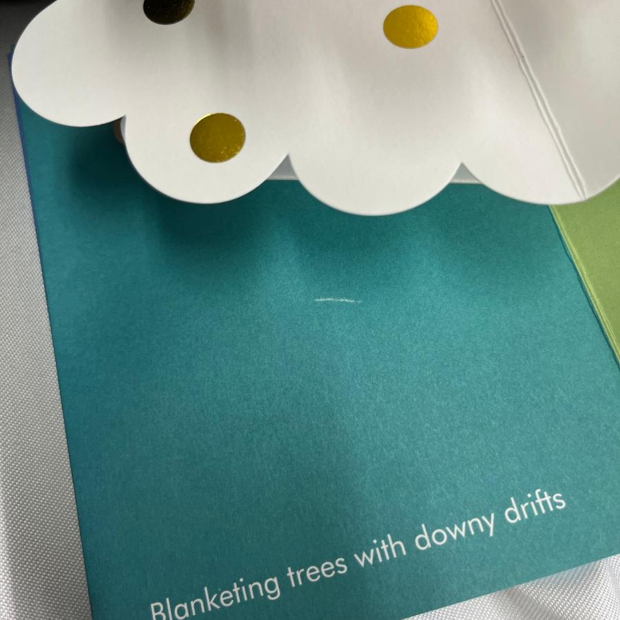 アウトレット品50％OFF! ミニポップアップブック Winter in White - （Robert Sabuda 作)【ネコポス便不可×】 |  | 08