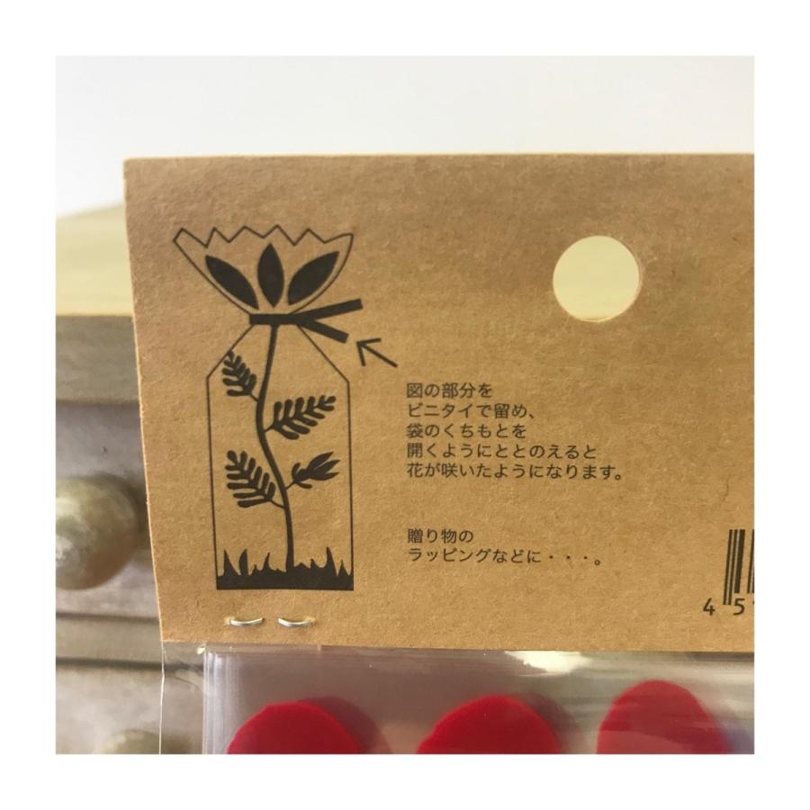 アウトレット品70％OFF! フラワーバッグ（10枚入り）【ネコポス便可〇】 |  | 02