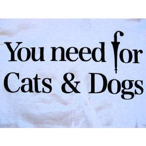 【期間限定 在庫限り50%OFF!!!】WesT EnD ウエストエンド Cats & DogsT-shirts WT-3 |  | 02